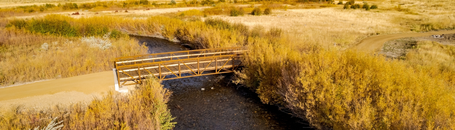 PP Park_new ped bridge over PPC_10-16-2024_DJI_0027